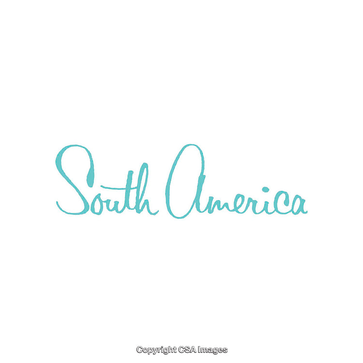 Handwritten South America Text in Aqua on White Background