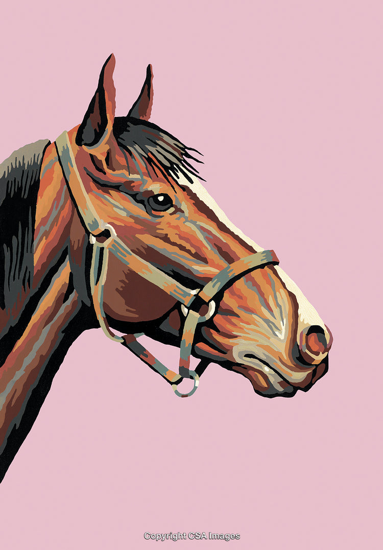 Illustration of a Horse Head in Paint by Numbers Style on Pink Background
