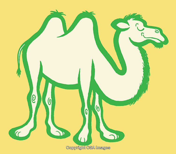 Colorful Line Art Illustration of a Playful Camel on Bright Background
