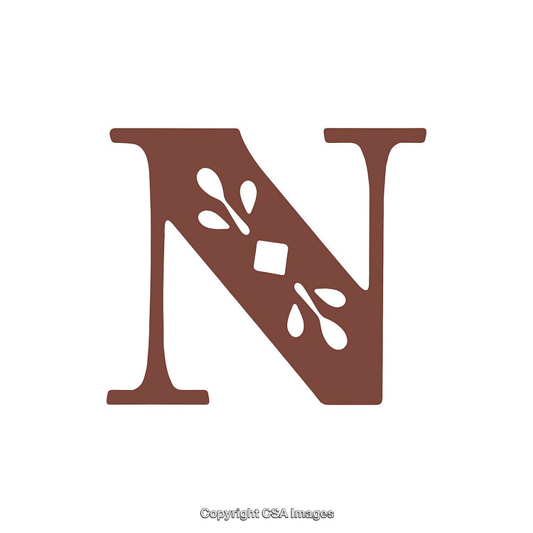 Elegant Letter N with Decorative Flourishes in Brown Design