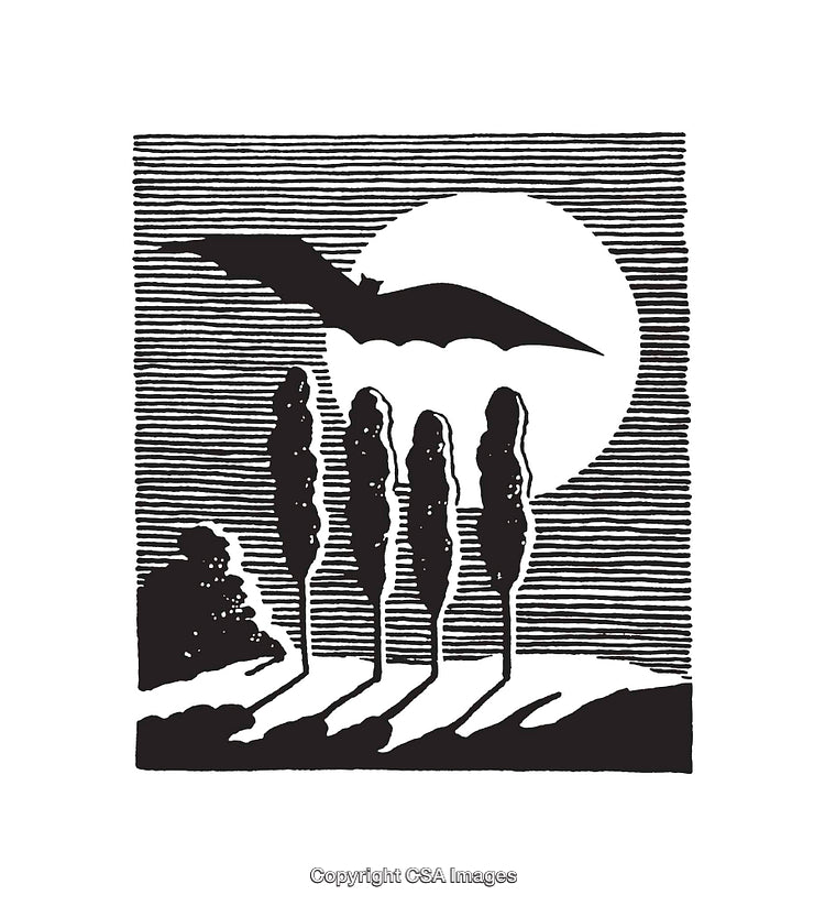 Black and White Line Art Illustration of a Bat and Trees