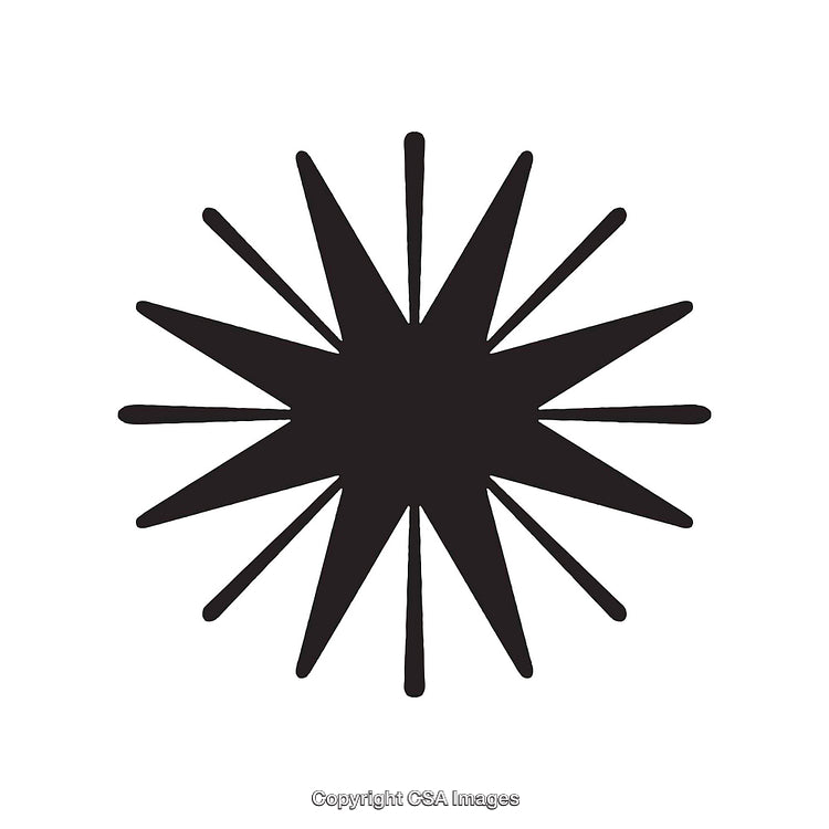 Black and White Decorative Dingbat Shape with Radiating Star Design