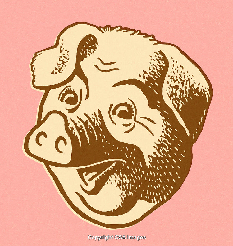 Retro Styled Illustration of a Smiling Pig Face in Vintage Design
