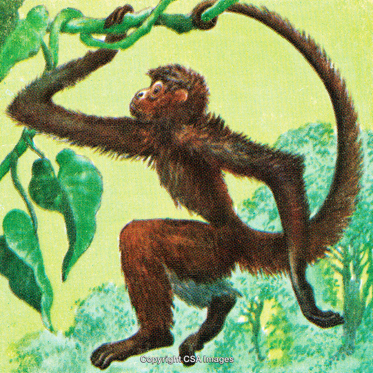 Illustration of a Monkey Swinging on Vines in a Forest Scene