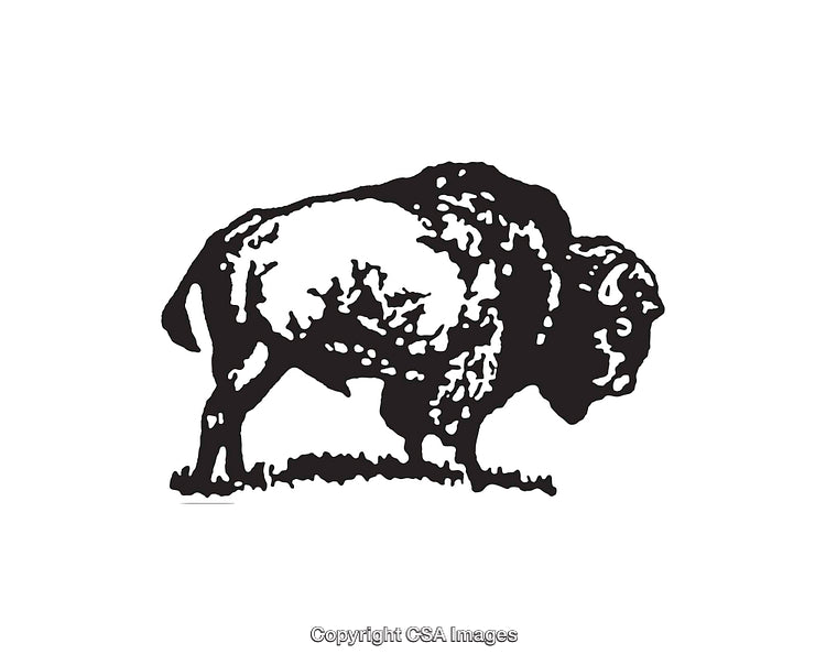 Black and White Line Art of a Buffalo Standing on Grass
