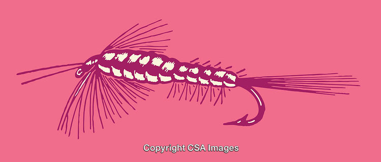 Detailed Line Art Illustration of Fishing Fly on Vibrant Background