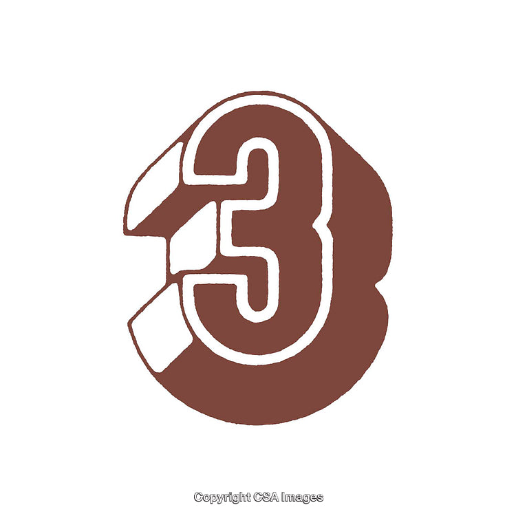 Minimalistic Illustration of Brown Number Three with Unique Outline