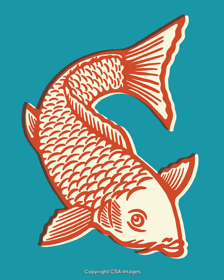 Colorful Line Art Illustration of a Koi Fish on a Blue Background