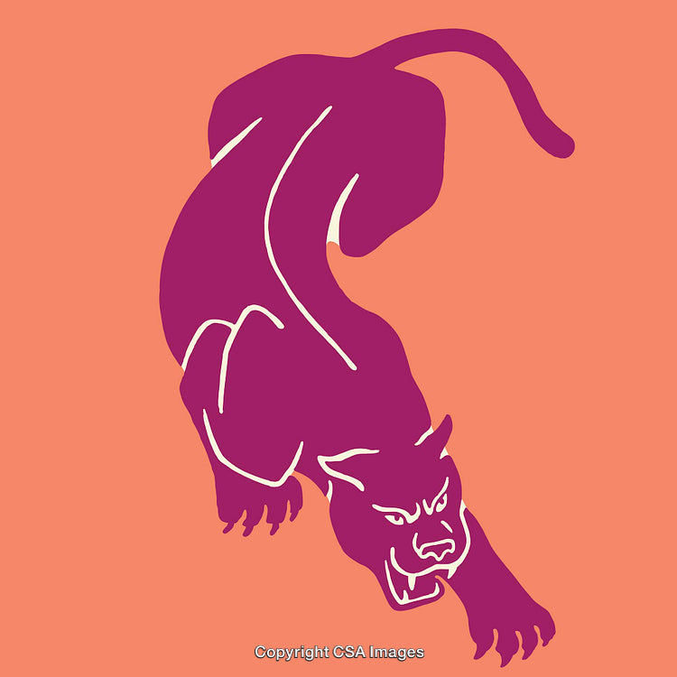 Abstract Colorful Panther Illustration on a Bold Background