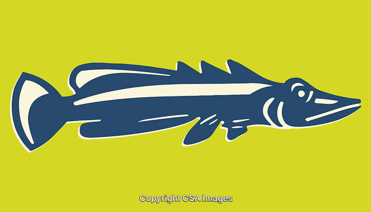 Stylized Blue Fish Illustration on Bright Yellow Background