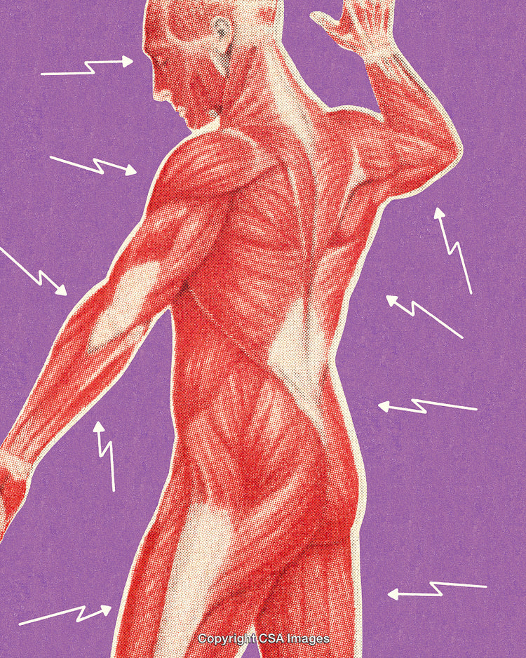 Anatomy Illustration Depicting Back Muscles and Pain Indications on Purple Background