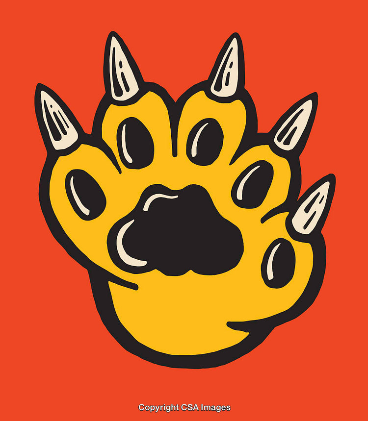 Bold Colorful Illustration of a Tiger Paw with Sharp Claws