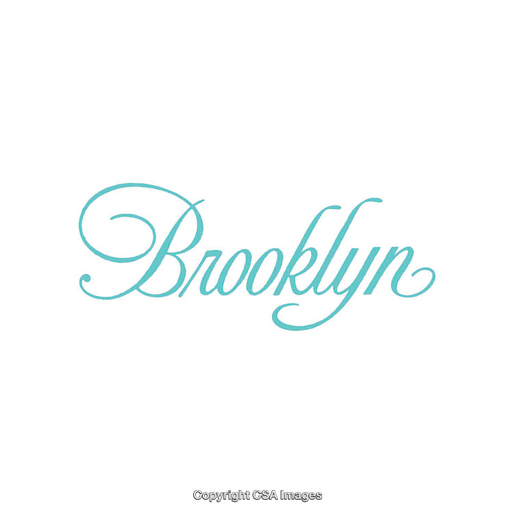 Elegant Light Blue Calligraphy Featuring the Name Brooklyn on White Background