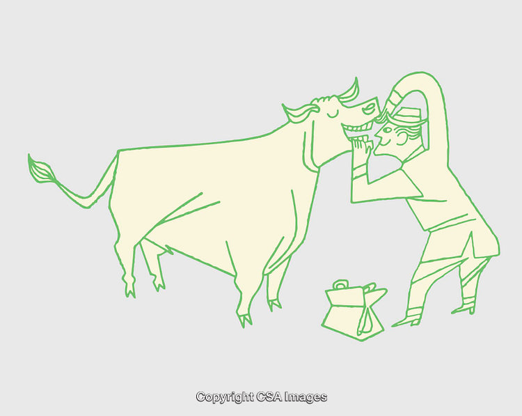 Illustration of a Veterinarian Examining a Cow Using Gentle Techniques
