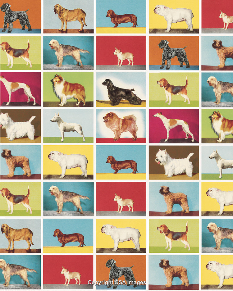 Dog-on-It Pattern