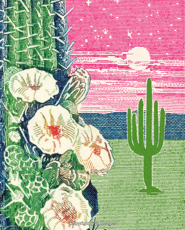 Vivid Desert Cactus Landscape With Colorful Sunset and Blooming Flowers