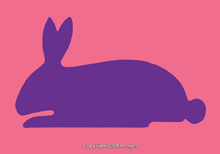 Silhouette of a Sitting Rabbit in Vibrant Colors