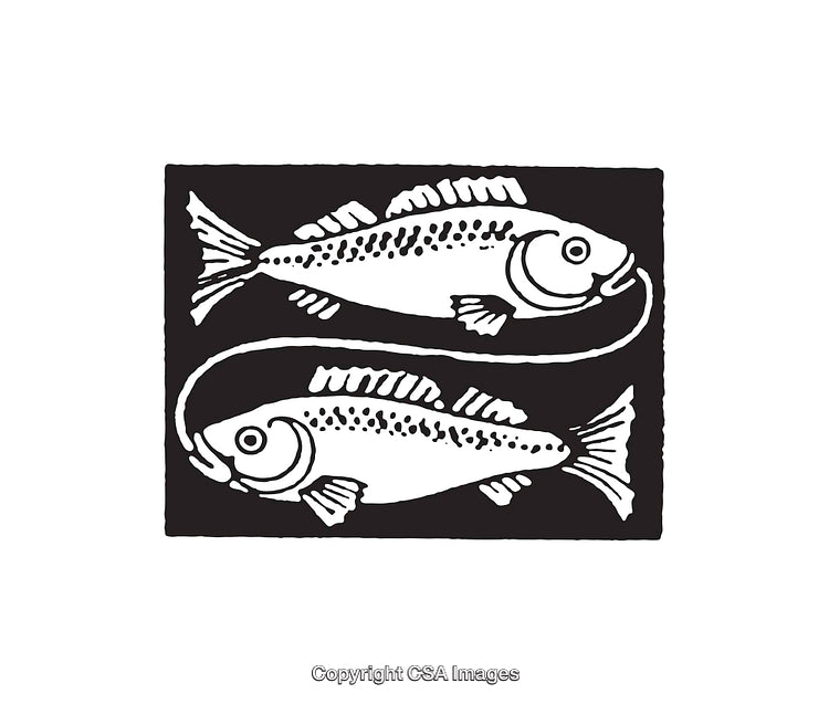 Black And White Illustration of Two Fish in Artistic Design