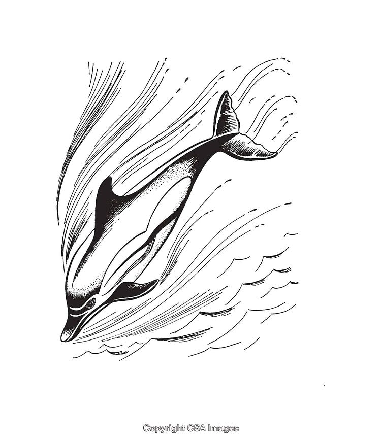 Black and White Illustration of a Dolphin Swimming in the Ocean
