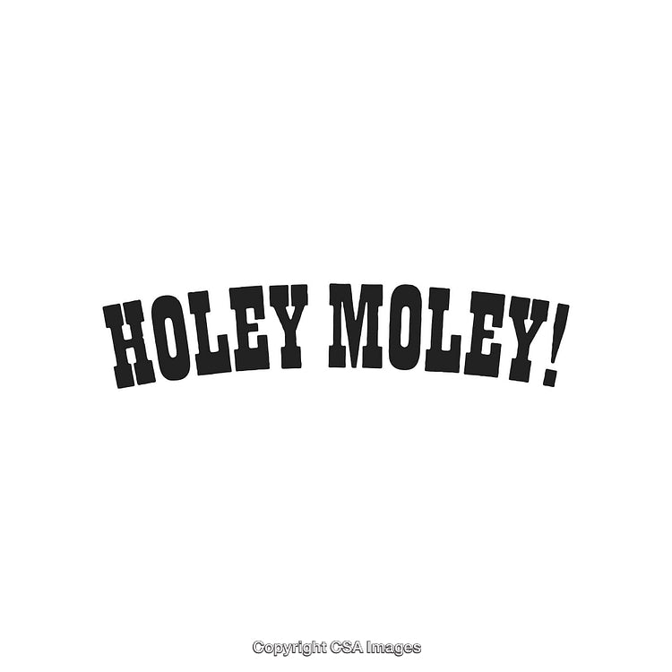Playful Typography Featuring the Phrase 'Holey Moley!' in Bold Black Letters