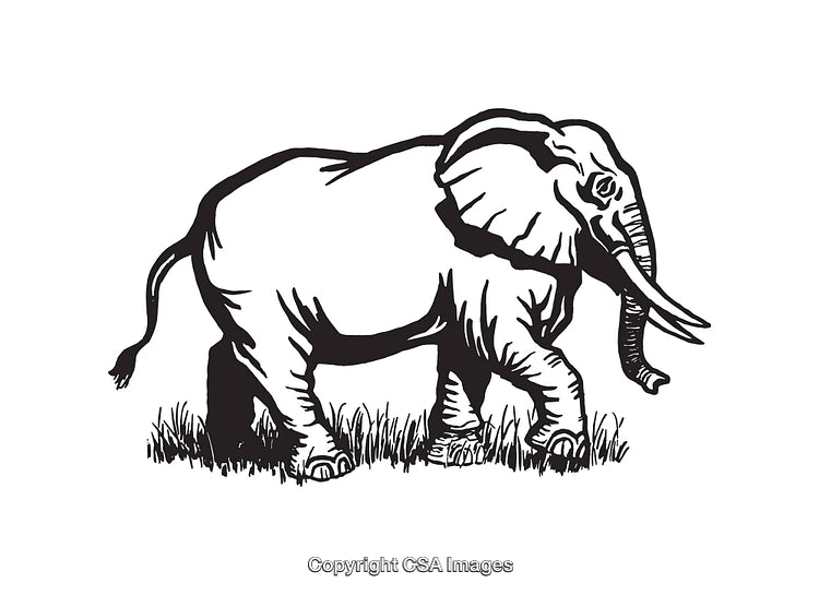 Black and White Line Art Illustration of a Majestic Elephant