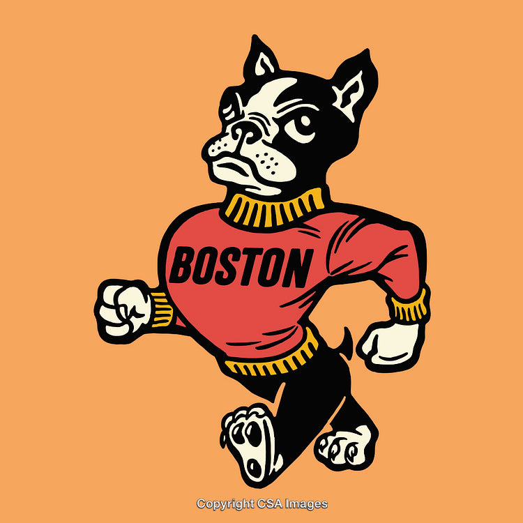 Retro Styled Cartoon Bulldog Representing Boston in Athletic Pose