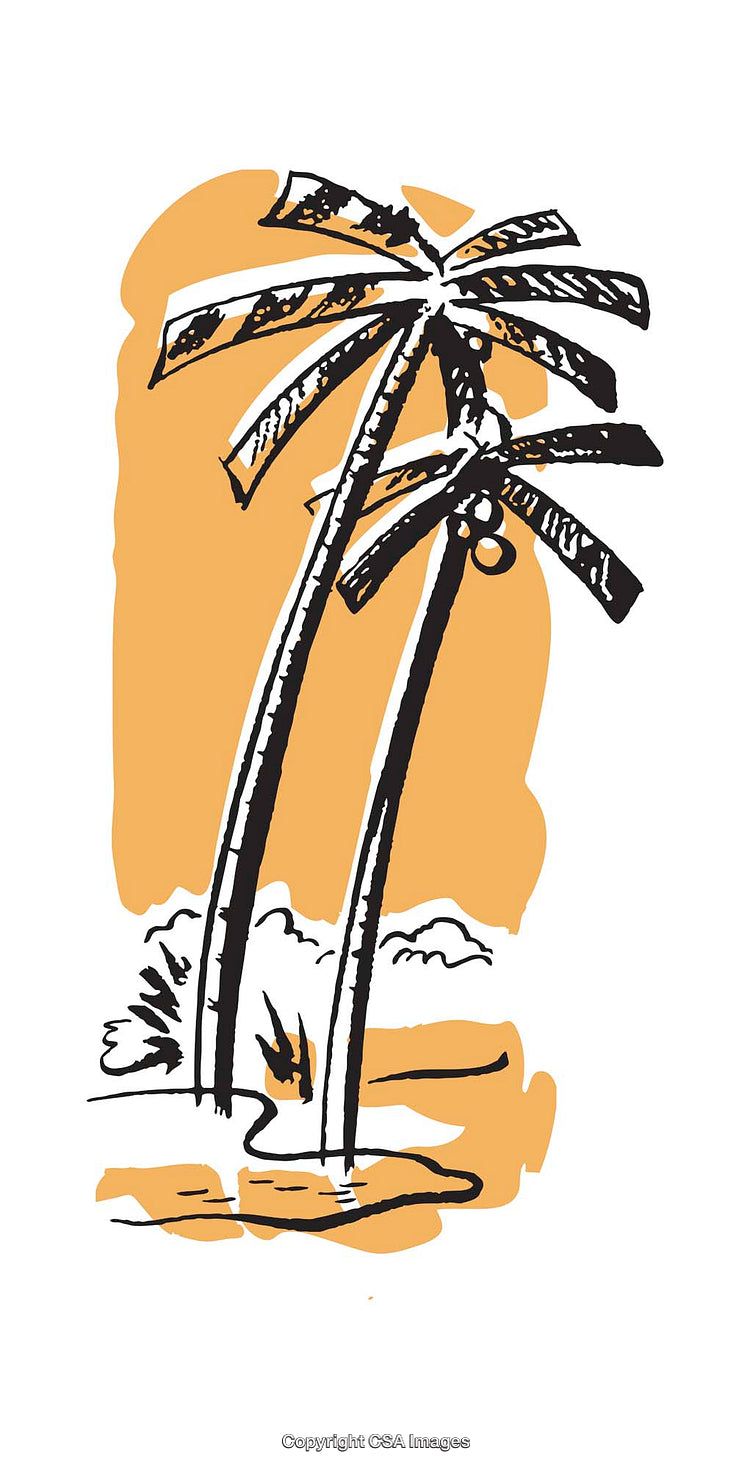 Illustrated Tropical Palm Trees Scene with Vibrant Background Design
