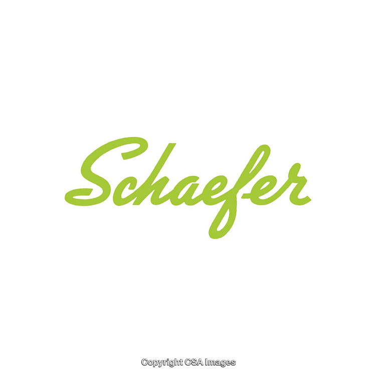 Minimalist Green Script Text on a White Background