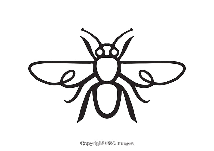 Stylized Black and White Line Art Illustration of an Insect