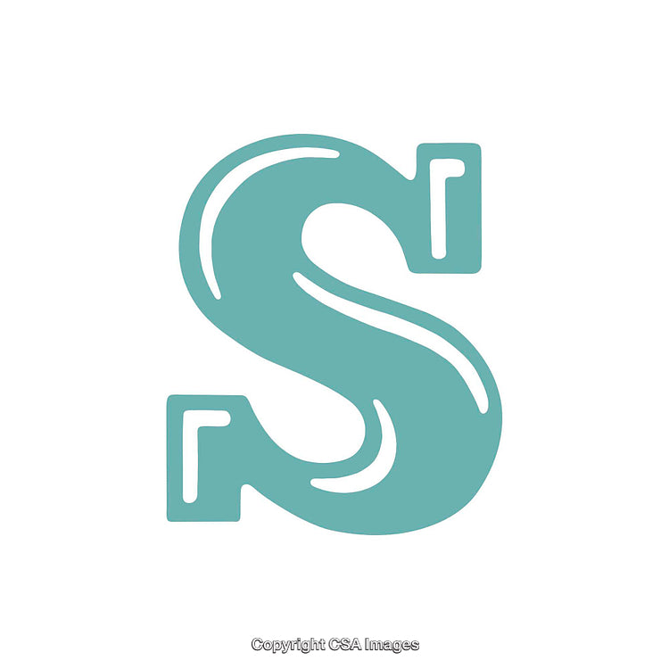 Stylized Letter S in Clean Minimalist Typeface Design