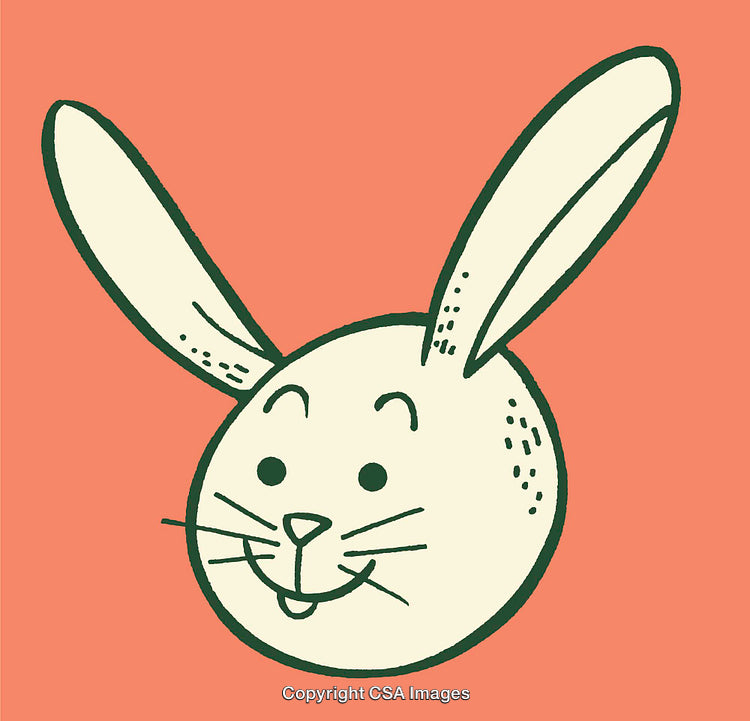 Cheerful Cartoon Rabbit Illustration on an Orange Background