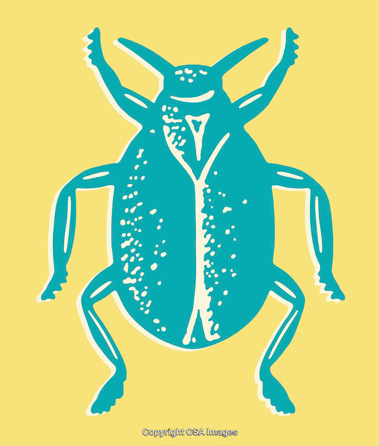 Detailed Illustration of an Aquatic Beetle on a Vibrant Yellow Background