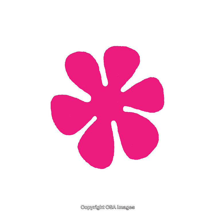 Vibrant Pink Floral Shaped Dingbat on White Background