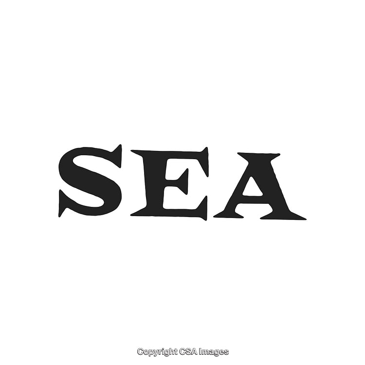 Stylized Black Typography of the Word 'Sea' on a White Background