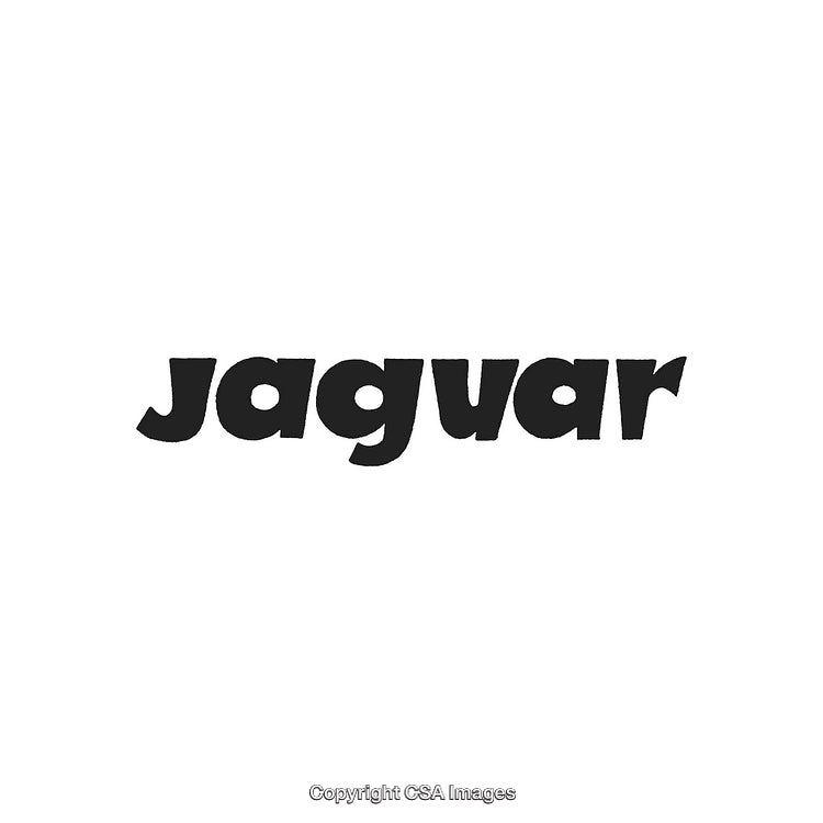 Minimalist Jaguar Black Text Logo on a White Background