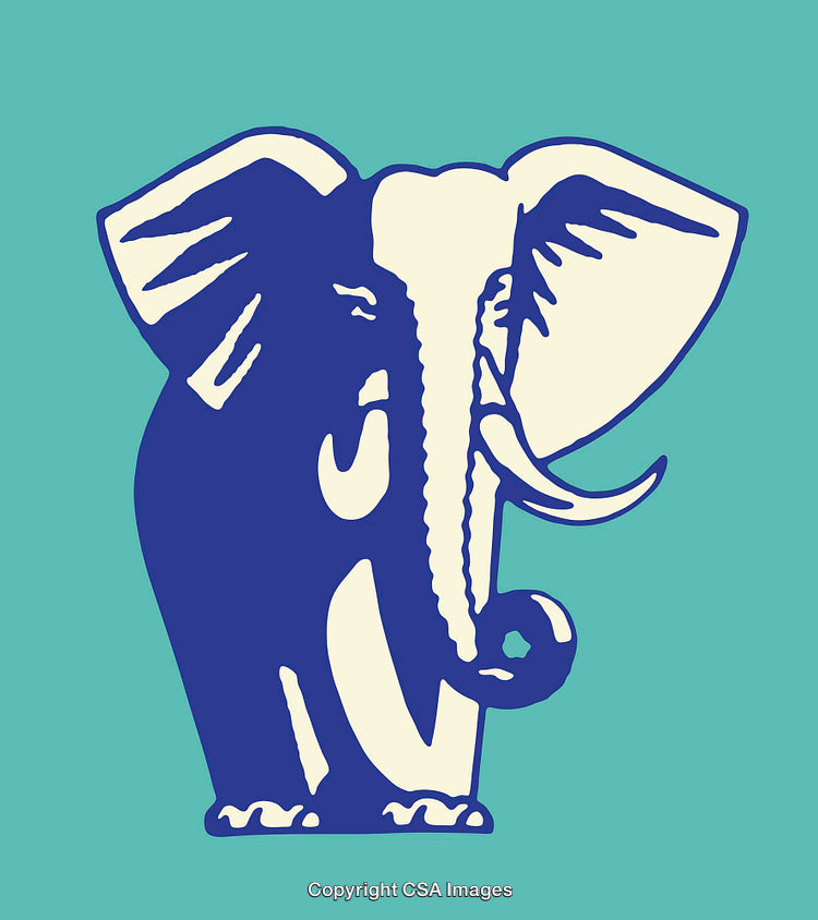 Colorful Illustration of an Elephant with Minimalist Design Elements