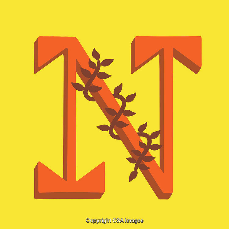 Artistic Letter N with Vine Decoration on Yellow Background