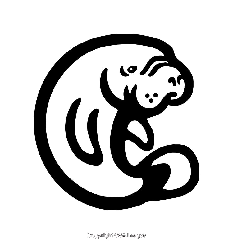 Minimalistic Black And White Line Art Illustration Of A Manatee