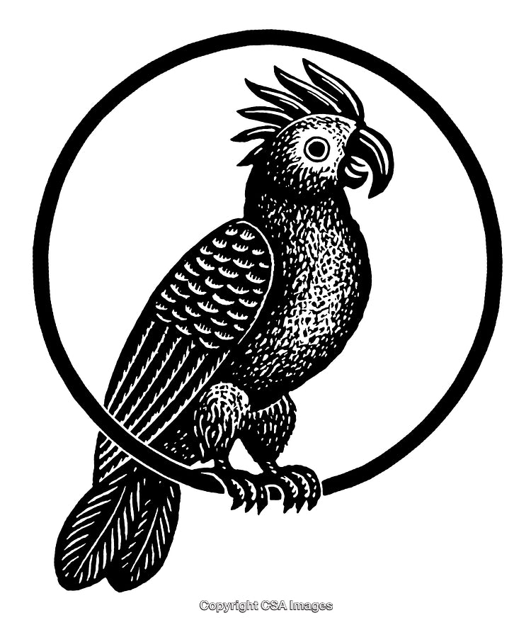Black and White Engraving of a Detailed Parrot in a Circular Frame