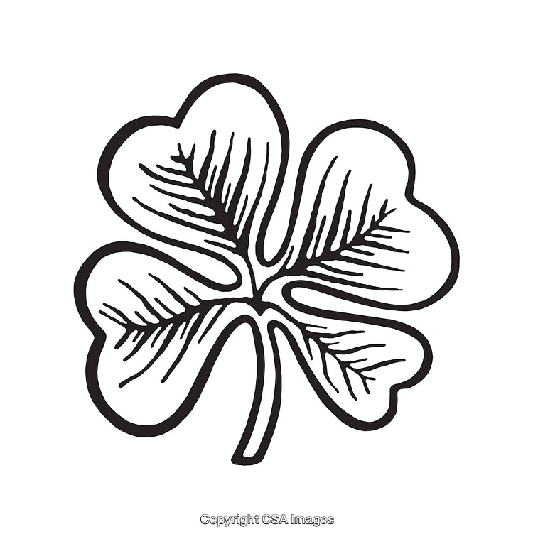 Hand-Drawn Four-Leaf Clover Line Art on White Background