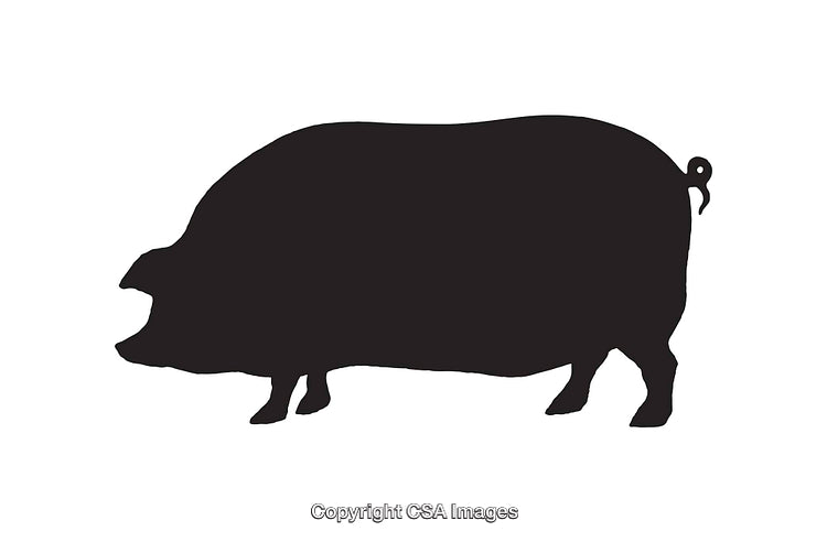 Silhouette Illustration of a Pig Side View in Black and White