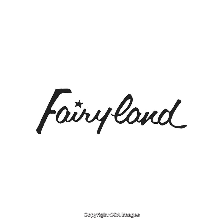 Stylized Black Handwritten Fairyland Text Logo with Star Accent on White Background