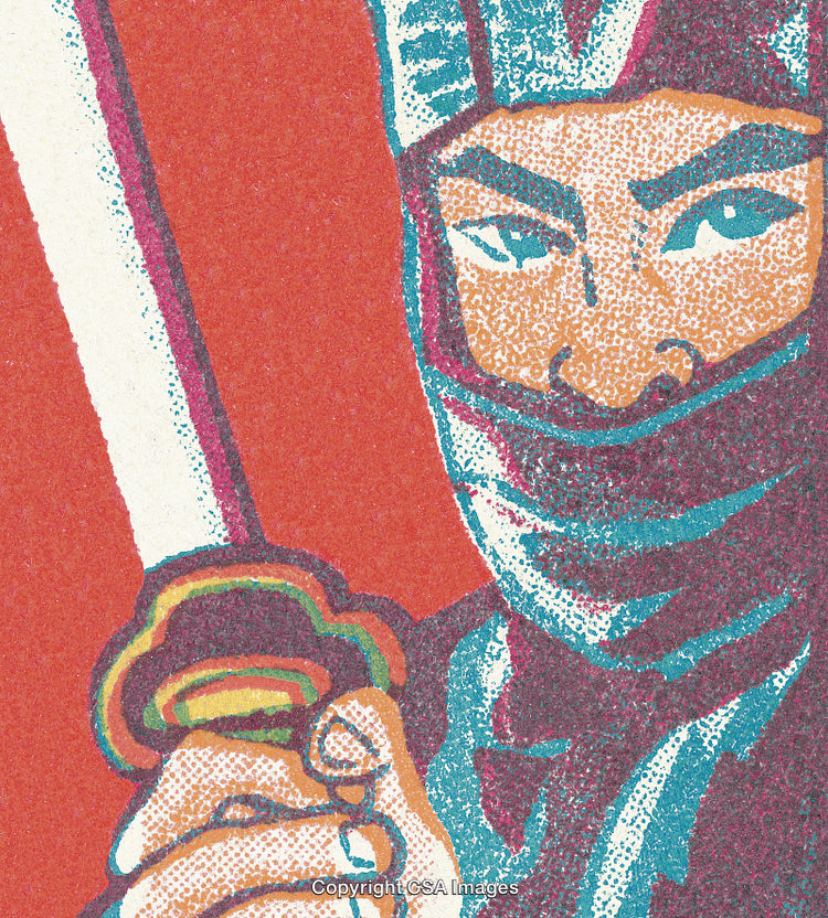 Ninja Warrior