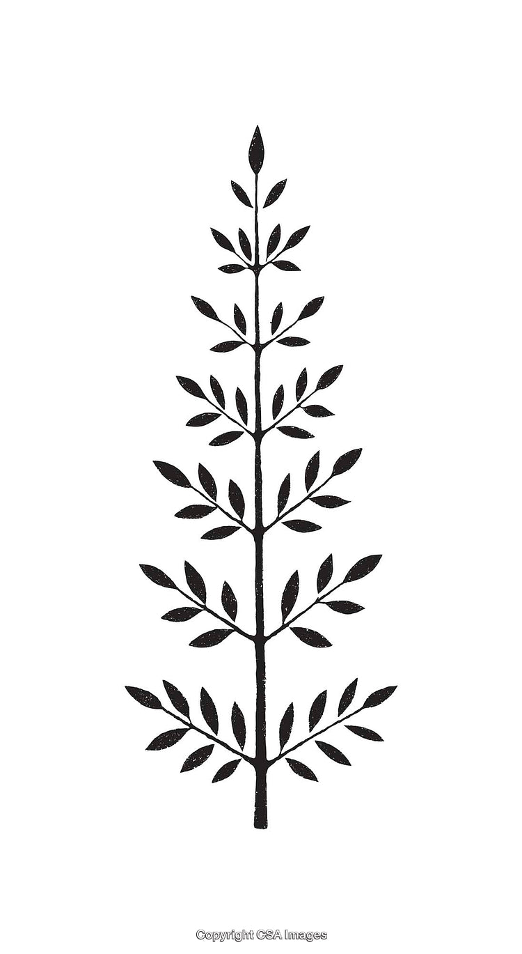 Minimalistic Black and White Icon of a Tree with Symmetrical Branches