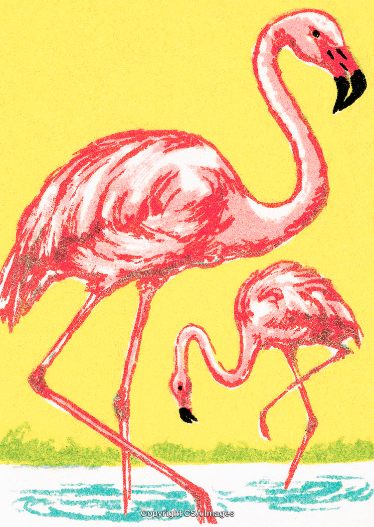 Vibrant Illustration of Two Flamingos near Water in a Bright Setting