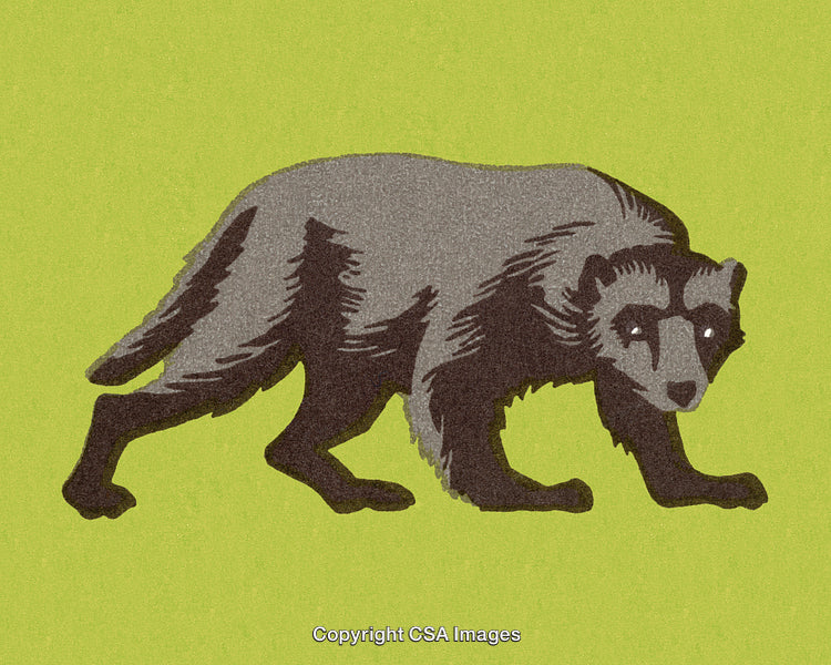 Illustrated Wolverine on Green Background in Artistic Cartoon Style