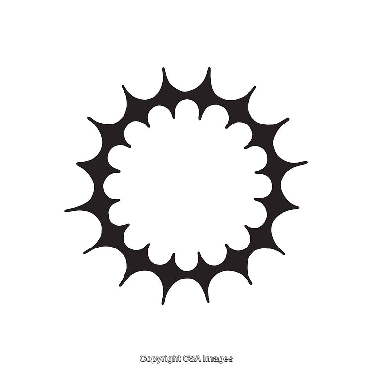 Black and White Circular Abstract Shape with Spiked Design