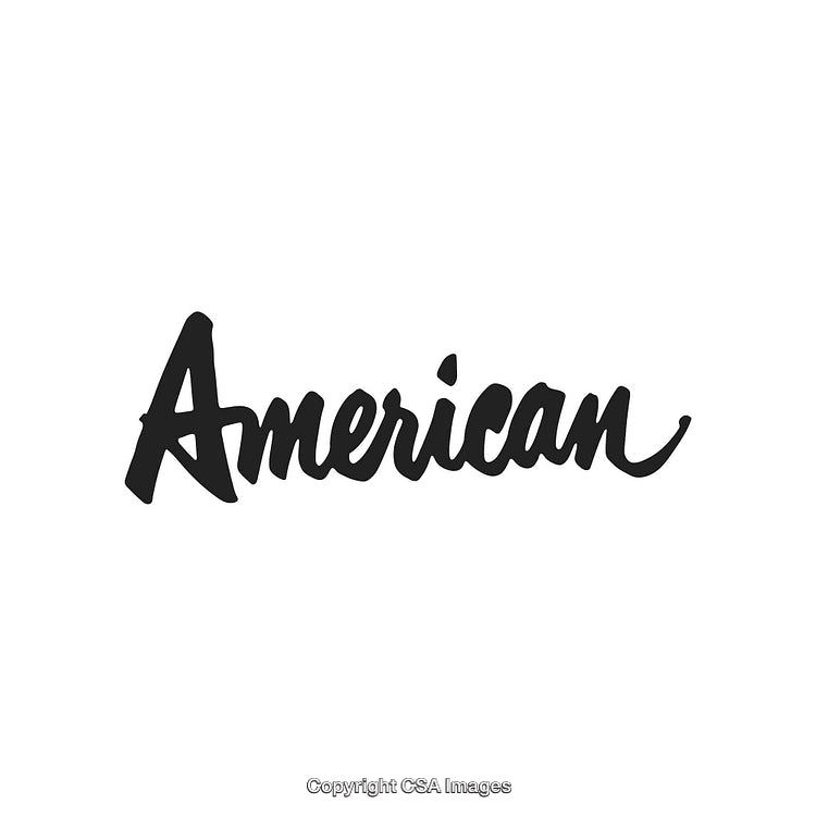 Stylized Black Handwritten American Word on a White Background