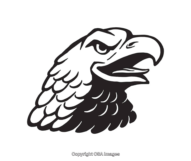 Black and White Eagle Head Drawing in Bold Line Art Style
