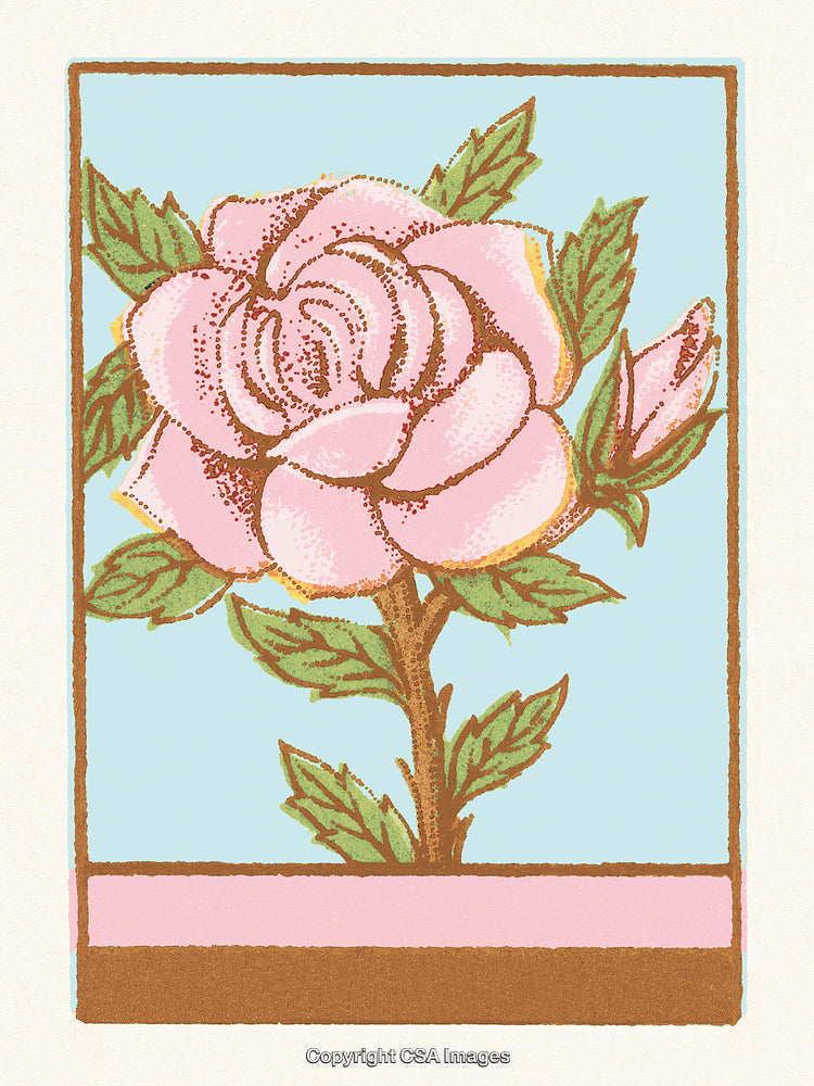 Vintage Style Illustration of a Pink Rose With Green Leaves on Blue Background